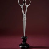 Cutting Hair Scissors